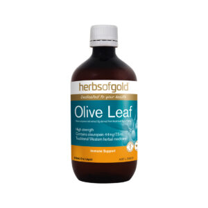 HERBS OF GOLD Olive Leaf 500ml